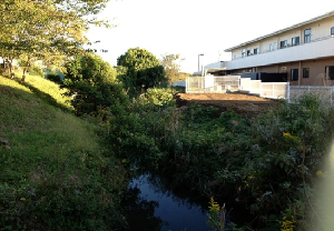 上富士川 整備前