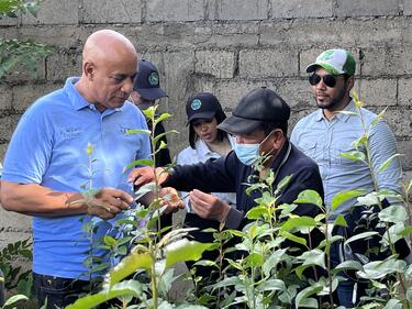 Technical instructions by experts