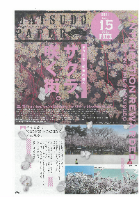 Matsudopaper_15