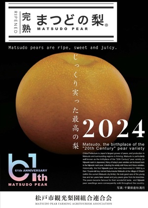 matsudonashi paper
