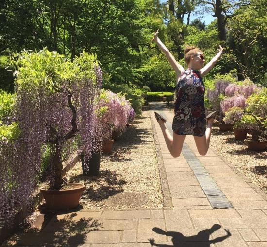 tojowisteria_jumpshot