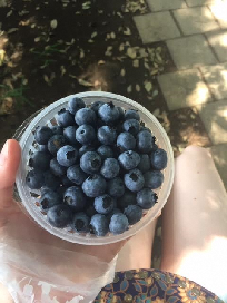 blueberries