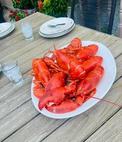 lobster