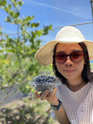 blueberry3