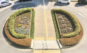 50周年をお祝いする松戸市役所の花壇