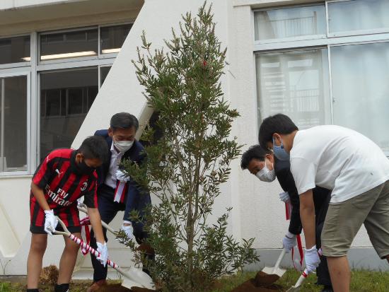 Tree Planting