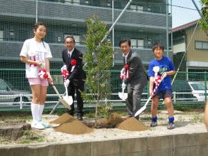 treeplanting