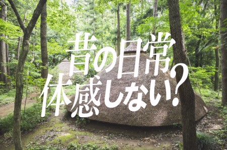 博物館・動画の1カット