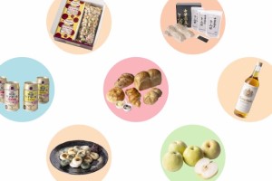 ふるさと納税PR動画の画像