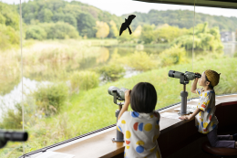 鳥を観察する子どもたちの写真