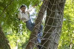 木登りする子ども