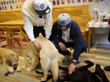 ドッグカフェで犬をなでる2人