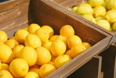 新松戸レモン2種