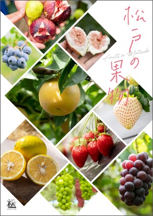 ポスター「松戸の果物」の画像