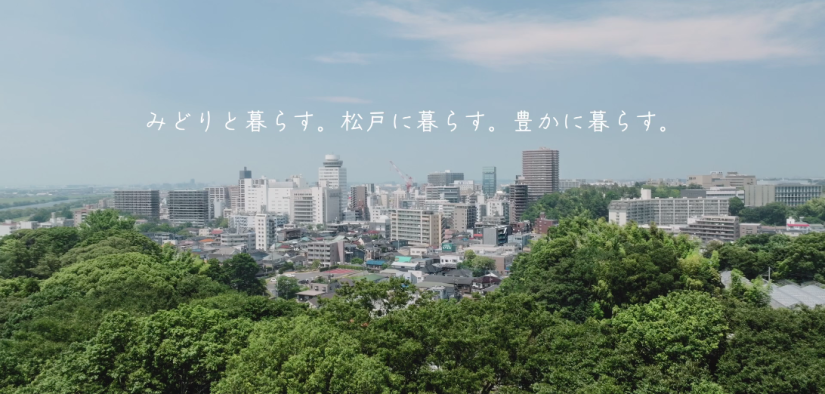 動画のタイトル画面