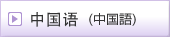 中文（中国語）