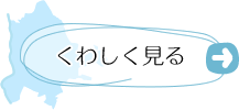 歴史・文化・観光をくわしく見る