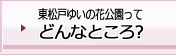 東松戸ゆいの花公園ってどんなところ