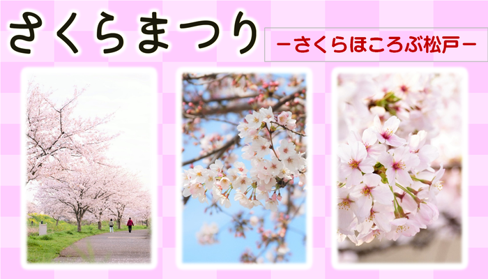 さくらまつり画像