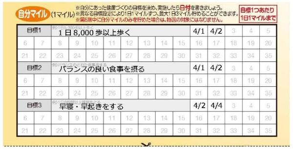 自分マイル記入例画像