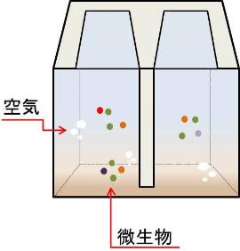 生物反応タンクの内部のイメージ