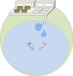 きれいになった水が海や川に戻っているイラスト