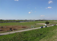 江戸川左岸河川敷緑地の写真