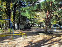 松戸中央公園の写真
