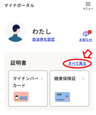 マイナポータルの画面