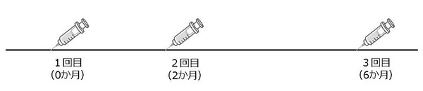 シルガード3回