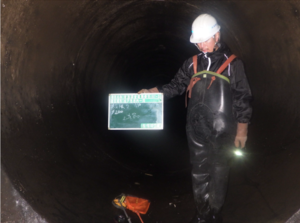 目視調査の写真