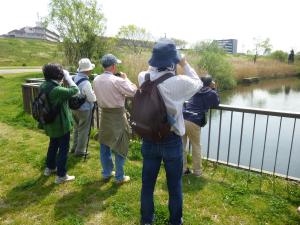 双眼鏡を使って鳥を探す様子