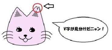 V字が見分けだニャンという猫のイラスト