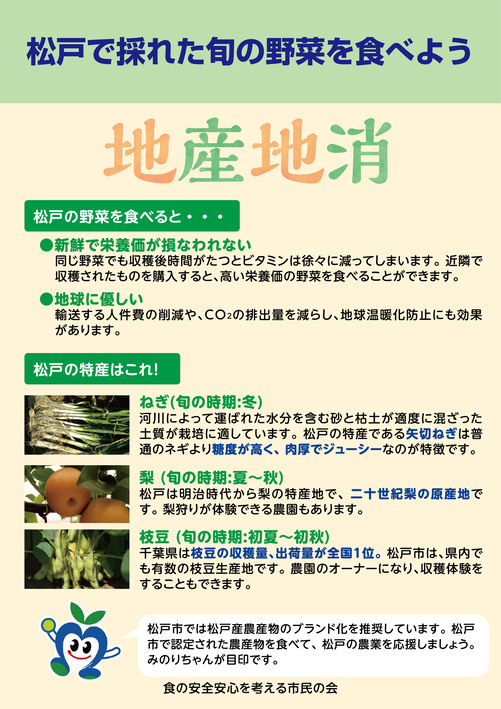 パネル画像