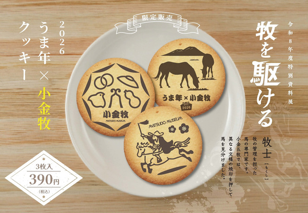 特別資料展限定クッキーの画像