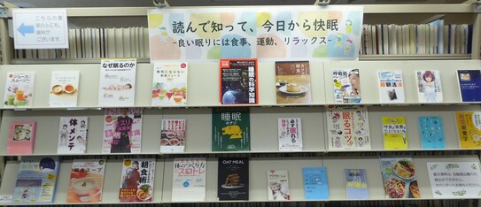 展示画像