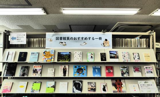 展示画像