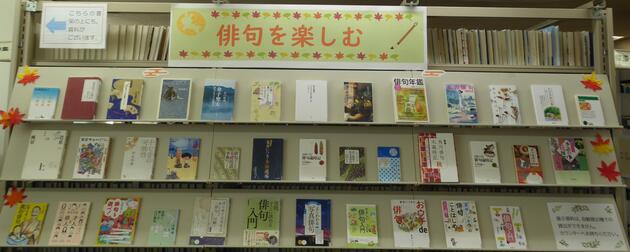 展示画像