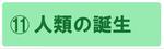 人類の登場の展示説明ページにジャンプします。