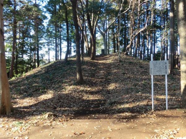 河原塚1号墳の様子の写真