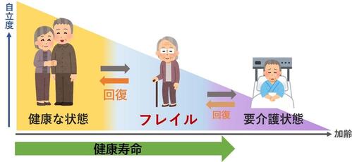 フレイル説明図