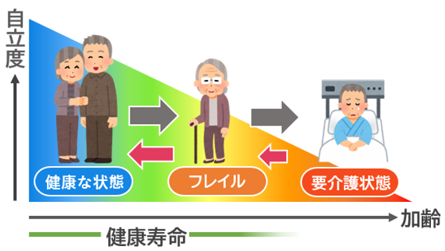 フレイル説明図