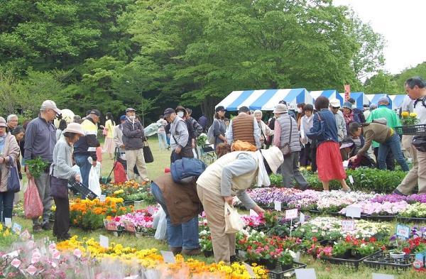 緑と花のフェスティバル2019の写真