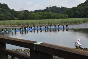 ぴったり並んで生き物を探す様子