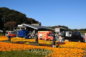 公園に出店したキッチンカーの写真