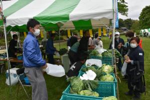 緑と花のフェスティバル2022の野菜の写真