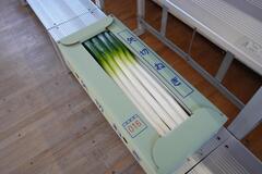 寄付していただいた矢切ねぎ