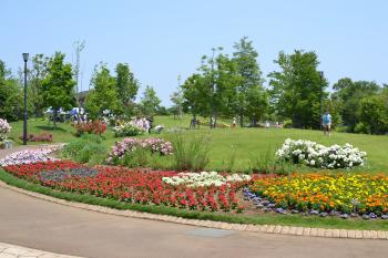ゆいの花公園