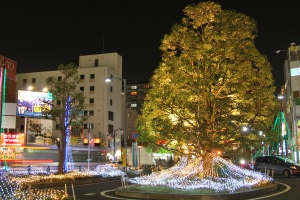 新松戸駅周辺のイルミネーションの写真1