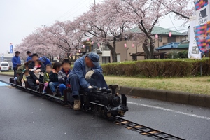 六実桜まつり画像2